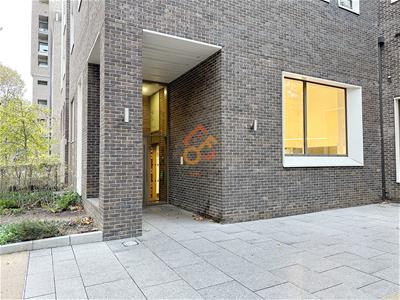 Picture 27